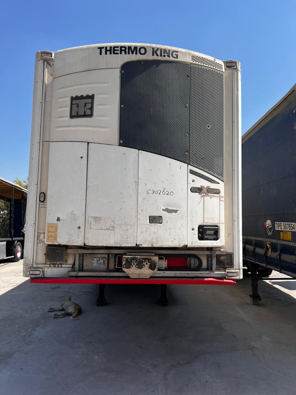 براد انجليزي